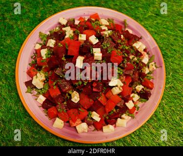 Beetroot salad with goat cheese on green grass background Stock Photo