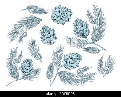 Fir cones set, pine tree branch spruces, vector decoration elements for patterns and backgrounds. Fire cones or pinecones isolated set in line art design, modern trendy pastel green Christmas decor Stock Vector