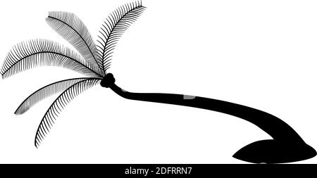 how to draw a realistic palm tree