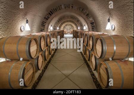 Wine is stored in wooden barrels to age and ferment in an underground storage area at RdV Vineyards. Stock Photo