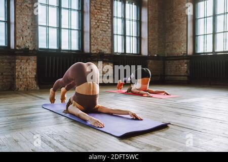 Two young women do complex of stretching yoga asanas in loft style class. Stock Photo