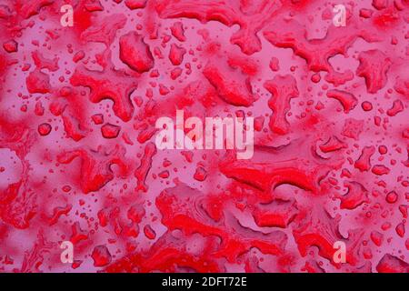 Water drops on red car surface, ful frame of abstract red liquid background Stock Photo