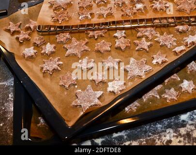 cinnamon stars, cookies flat layed on a baking sheet, ready to be baked for Christmas Stock Photo