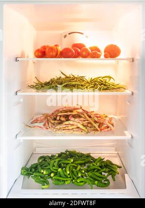 Refrigerator full of vegetable Stock Photo