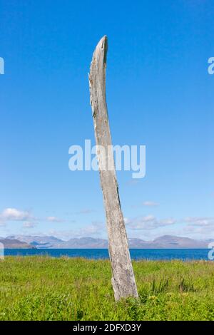 Bowhead Whale ribs in arch formation, Yttygran Island, Bering Sea, Russian Far East Stock Photo