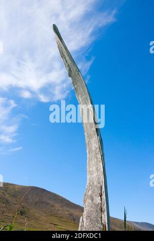 Bowhead Whale ribs in arch formation, Yttygran Island, Bering Sea, Russian Far East Stock Photo