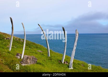 Bowhead Whale ribs in arch formation, Cape Dezhnev, most eastern corner of Eurasia, Russian Far East Stock Photo