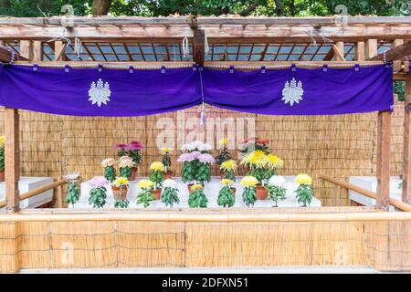 Atsuta Shrine grounds in Nagoya, Japan Stock Photo