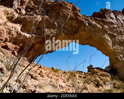 A hiker enjoys the natural arch in Arch Canyon, Organ Pipe Cactus National Monument, Arizona, USA Stock Photo