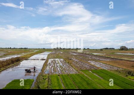 A stretch of rice field with a clear Stock Photo