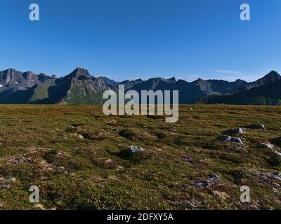 Beautiful rocky meadow of moss, bushes and grass with mountain range on background on hiking tour to Matmoa peak on Austvågøya island, Lofoten, Norway. Stock Photo
