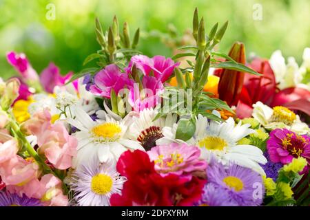 bouquet of summer flowers on green background Stock Photo