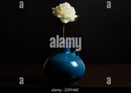 a single isolated flower in a blue vase against a dark black background Stock Photo