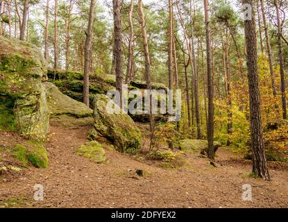 Krynki Nature Reserve, Swietokrzyskie Voivodeship, Poland Stock Photo