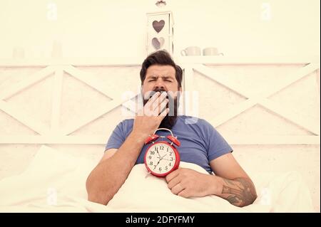 Healthy habits. Wake up early every morning. Health benefits of rising early. Waking up early gives more time to prepare and be timely. Hipster bearded man in bed with alarm clock. Time to wake up. Stock Photo