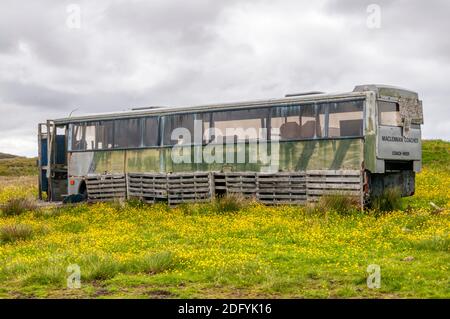 An old abandoned coach or bus on the peat beds at Cuidhsiadar on the Isle of Lewis in the Outer Hebrides. Stock Photo
