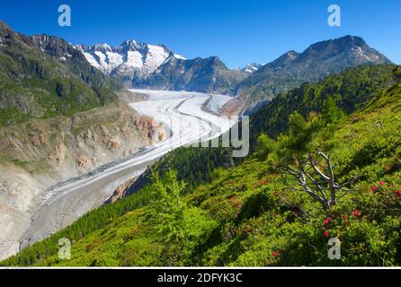 geography / travel, Switzerland, Wannenhoerner and Aletsch glacier, Valais, Additional-Rights-Clearance-Info-Not-Available Stock Photo