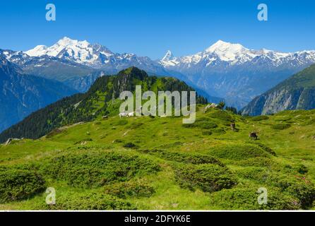 geography / travel, Switzerland, Swiss Alps, Mischabel group, Matterhorn, Weisshorn, Valais, Additional-Rights-Clearance-Info-Not-Available Stock Photo