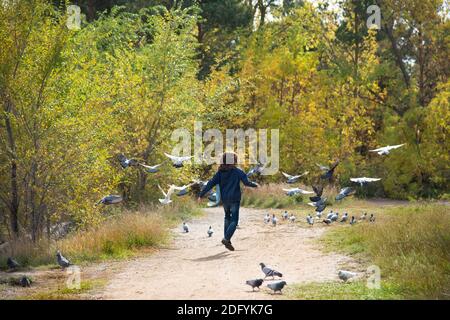 A girl runs after pigeons in the Park on a Sunny autumn day. Pigeons fly away Stock Photo