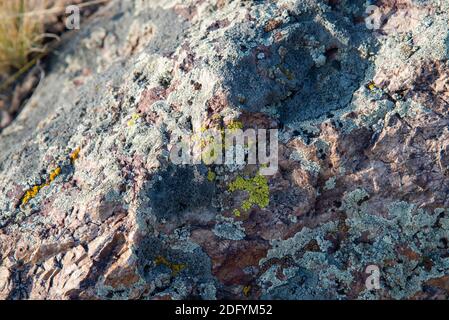 Texture of multi-colored moss and lichen pattern on wild stone. Stock Photo
