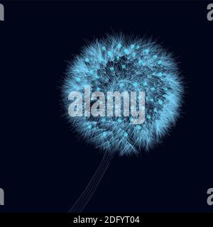 Contour of a detailed dandelion made of blue lines on a dark background. Vector illustration. Stock Vector