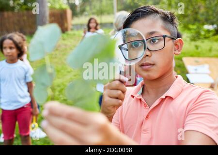 Child as a curious researcher in the ecological holiday camp looks through a magnifying glass at a sheet Stock Photo
