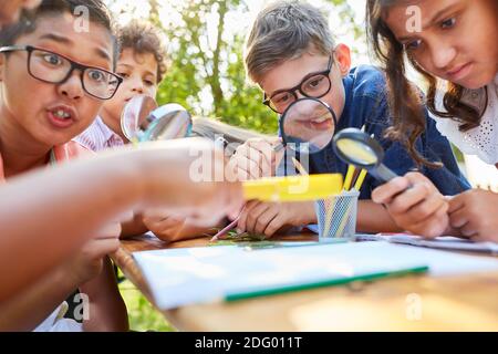 Multicultural children group with magnifying glass learns about plants in the ecological summer camp Stock Photo