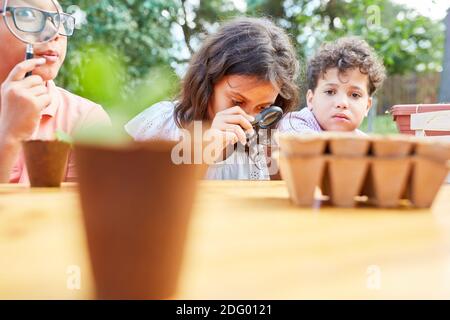 Group of children with magnifying glass learns about plants and biology in the ecological holiday camp Stock Photo