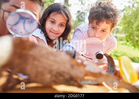 Children look at the tree bark with curiosity through a magnifying glass in the biology holiday course Stock Photo