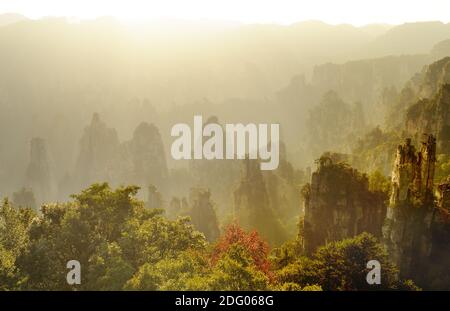 Iconic quartzite sandstones pillars & peaks in Wulingyuan / Zhangjiajie National Forest Park in Hunan Province, China. Unique mountain landscape inscr Stock Photo