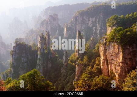 Iconic quartzite sandstones pillars & peaks in Wulingyuan / Zhangjiajie National Forest Park in Hunan Province, China. Unique mountain landscape inscr Stock Photo