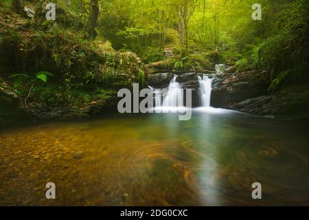 beautiful waterfall of a river inside a forest in autumn with leaves in the water and green foliage illuminated by the sun and wooden stairs in the ba Stock Photo