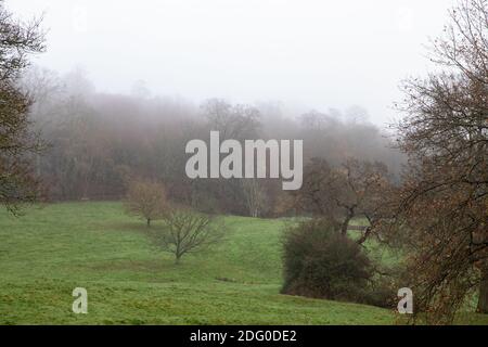 Westerham,Kent,7th December 2020,A Foggy Morning in Westerham, Kent, the weather forecast is for cloud, 2C and maybe some snow flurries later today.Credit: Keith Larby/Alamy Live News Stock Photo