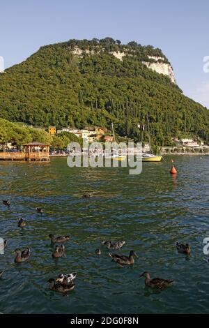 Garda, view of the promenade at Lake Garda in a southerly direction, Veneto, Italy Stock Photo