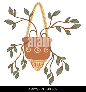 Potted houseplant, flower with small leaves in pot Stock Vector