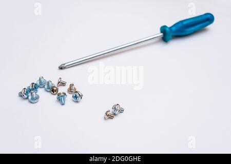 Screws and bolts lie next to a screwdriver on a white background Stock Photo