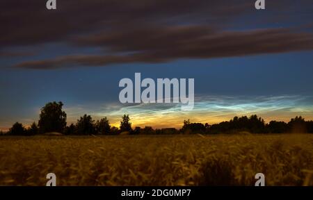 silvery clouds at night over the cereal fields Stock Photo