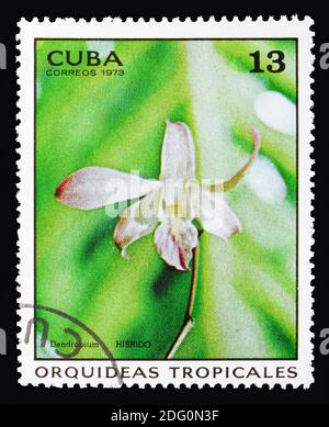 MOSCOW, RUSSIA - AUGUST 18, 2018: A stamp printed in Cuba shows Dendrobium hybr., Orchids serie, circa 1973 Stock Photo