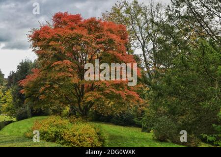 When the landscapes of Britain are starting to change colour, golden leaves spatter the ground and there¿ an official whiff of autumn in the air, there¿ nothing quite like heading outdoors to experience this magical time of yearpictured: Tyntesfield is a Victorian Gothic Revival house and estate near Wraxall, North Somerset, Sunday 11th October 2020. Stock Photo