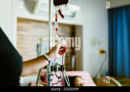 Nurse in hospital with blood products, infusion of donor blood. Stock Photo