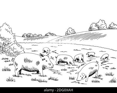 Pigs feeding grass on the hill graphic black white sketch illustration vector Stock Vector