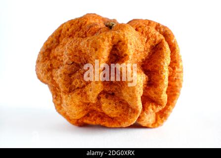 old dried out wrinkled orange on white background Stock Photo