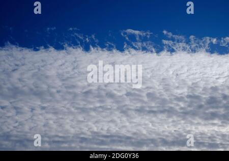 bank of white wispy cloud on blue sky background, norfolk, england Stock Photo