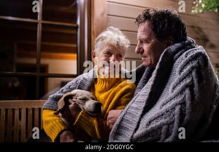 Portrait of senior couple with a dog sitting in the evening on terrace, talking. Stock Photo