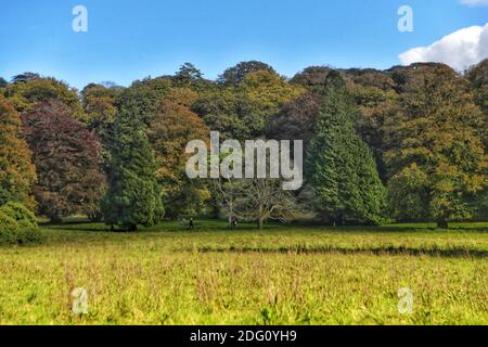 When the landscapes of Britain are starting to change colour, golden leaves spatter the ground and there¿ an official whiff of autumn in the air, there¿ nothing quite like heading outdoors to experience this magical time of yearpictured: Tyntesfield is a Victorian Gothic Revival house and estate near Wraxall, North Somerset, Sunday 11th October 2020. Stock Photo