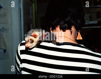 Musician and artist Genesis Breyer P-Orridge with her ferret at home in Queens, New York. October 23, 2002. Stock Photo