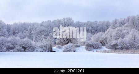 Cold winter day. Forest. A panoramic view of the covered with frost trees in the snowdrifts. Wallpaper background. Natural landscape with beautiful sk Stock Photo