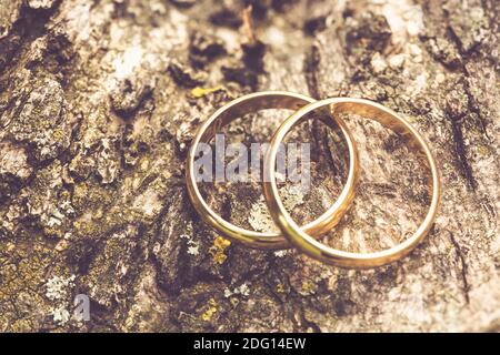 golden wedding rings laid on the bark of a tree Stock Photo
