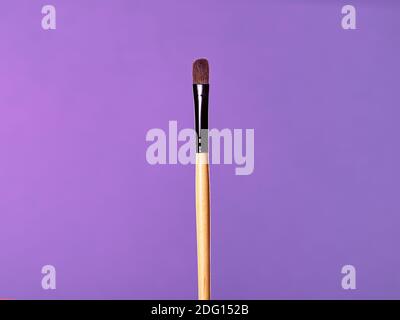 Makeup brushes, everyday make-up tools. Cosmetic essentials on bright blue background, closeup Stock Photo