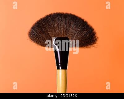 Makeup brushes, everyday make-up tools. Cosmetic essentials on bright blue background, closeup Stock Photo